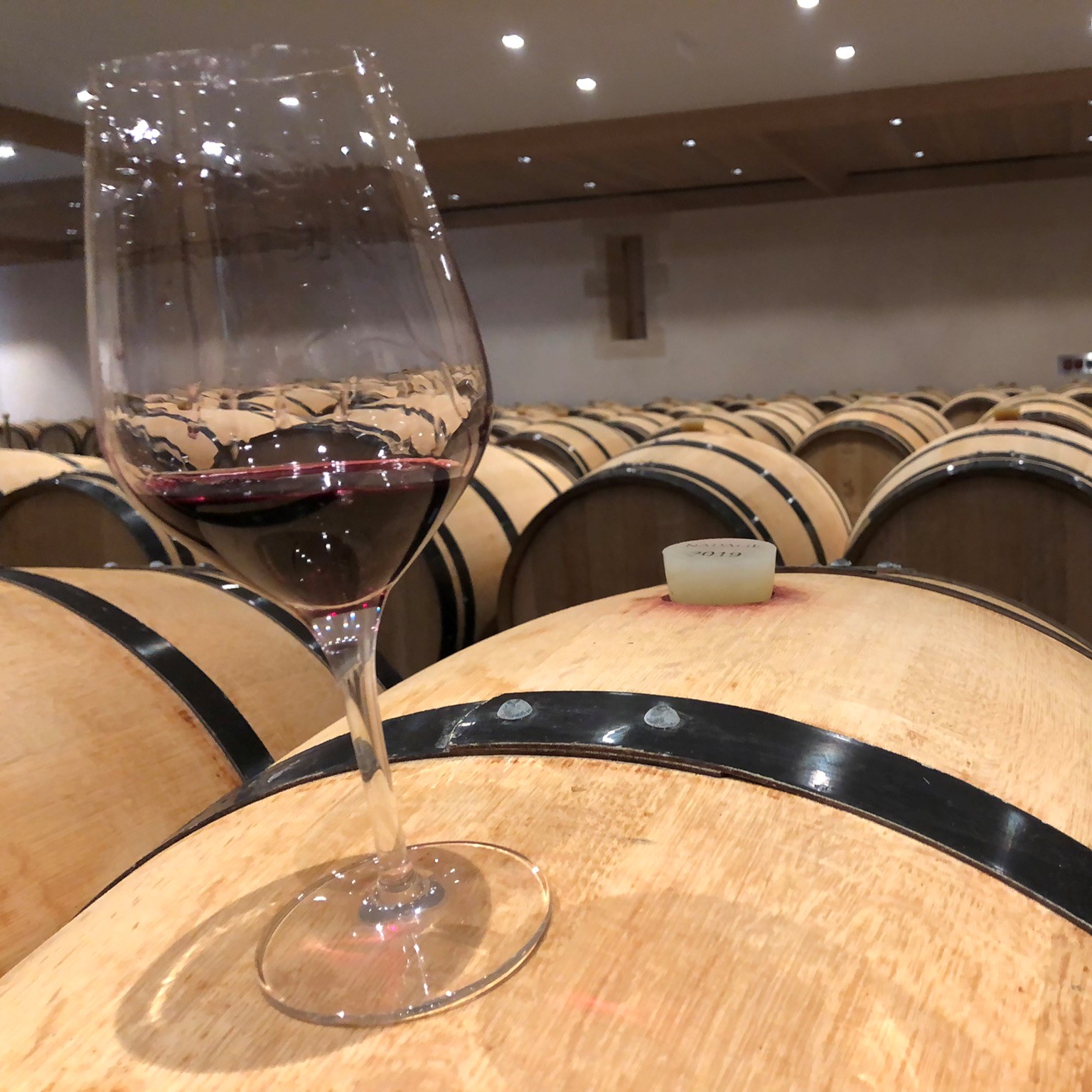 Primeurs wijnjaar 2021