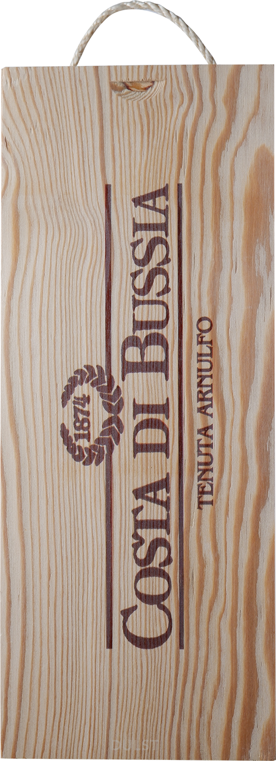 Costa di Bussia - 3 L (Jeroboam) | Barbera d'Alba DOC