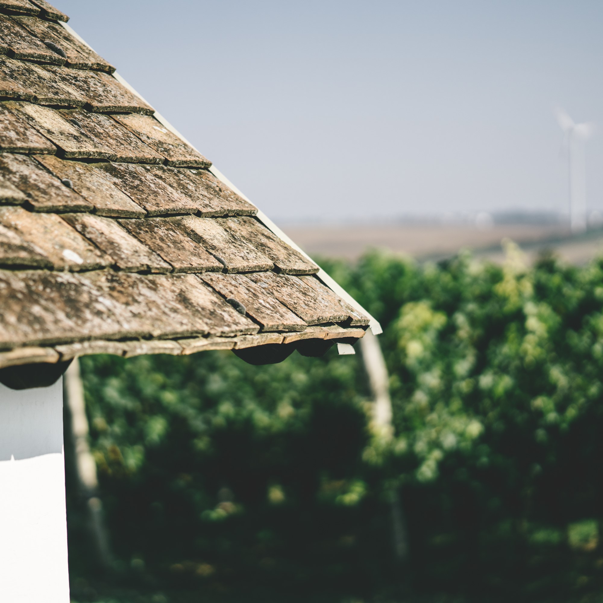 Wijngaarden aan de Donau: Ontdek de pracht van Carnuntum