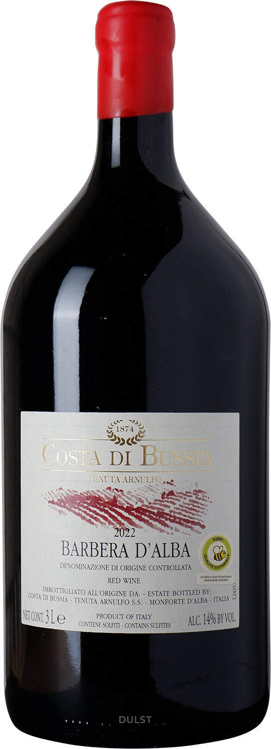 Costa di Bussia - 3 L (Jeroboam) | Barbera d'Alba DOC