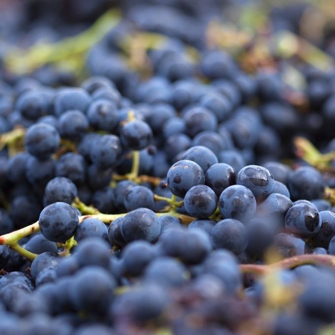 Nieuwe druiven, zelfde Bordeaux