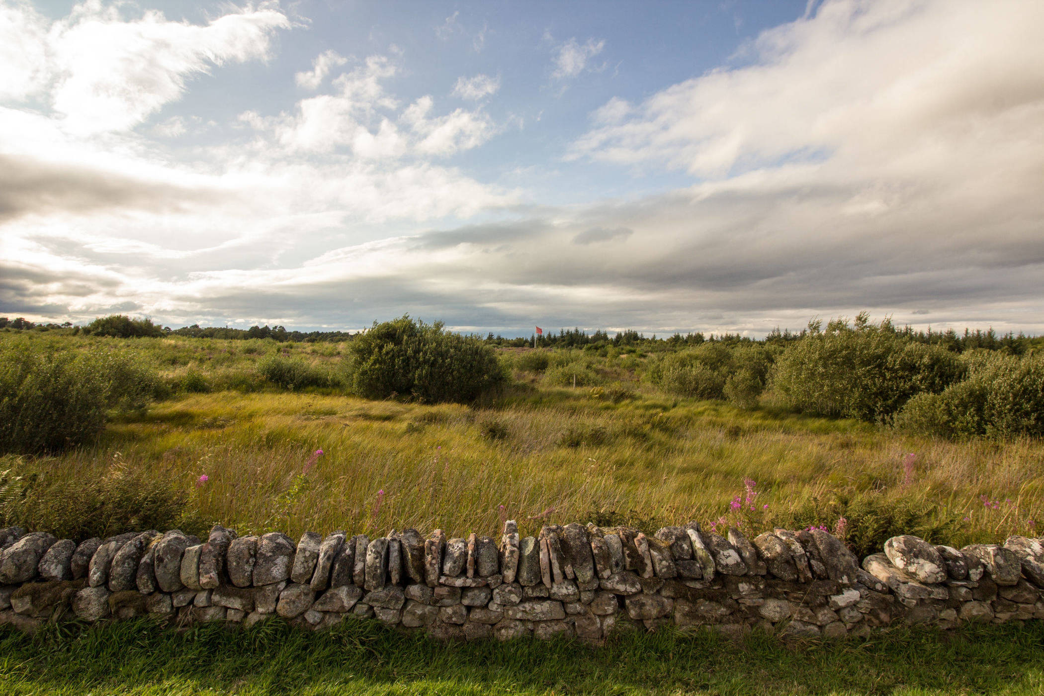 Château Lynch Bages - G.C.C. | Pauillac