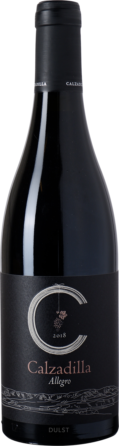 Pago Calzadilla - Allegro | Vino do Pago DO Syrah