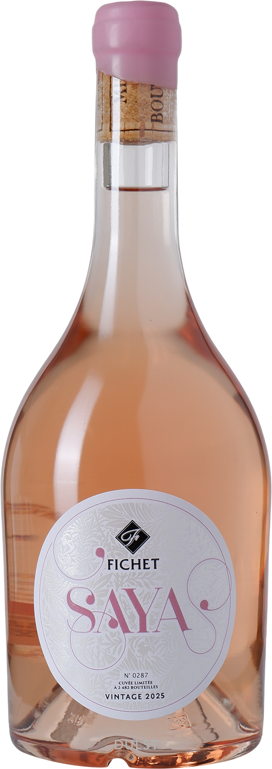 Domaine Fichet - Saya | Mâcon Igé Gamay