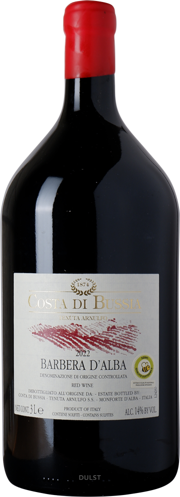 Costa di Bussia - 3 L (Jeroboam) | Barbera d'Alba DOC