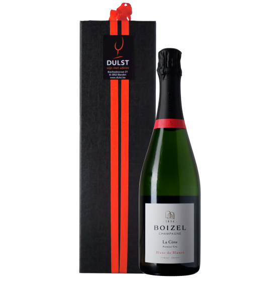 Relatiegeschenk K89 | It is all in the family 1 - Boizel - Blanc de Blancs 1er Cru - Brut Champagne